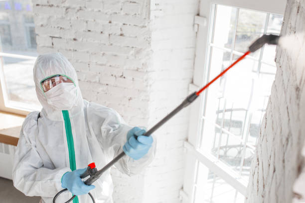 Best Mold-Related Health Consultation  in Baltic, SD