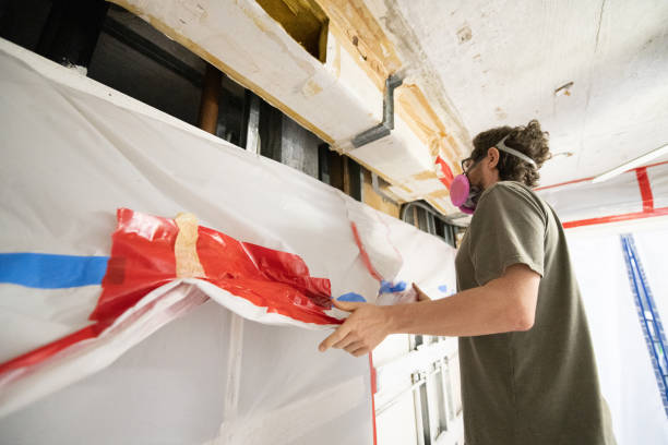 Best Commercial Mold Inspection  in Baltic, SD
