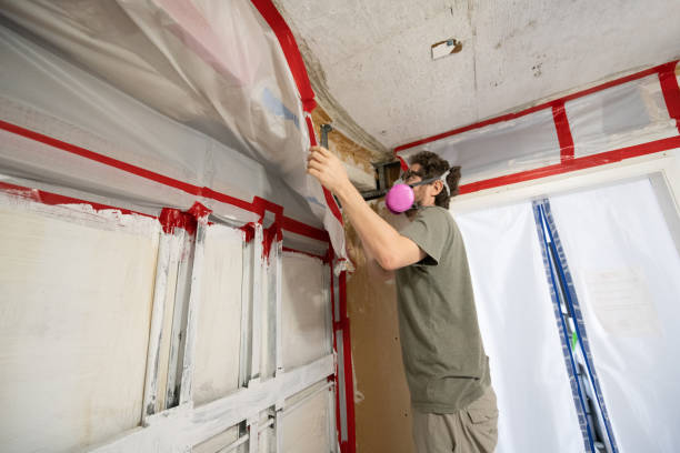 Professional Mold Removal in Baltic, SD