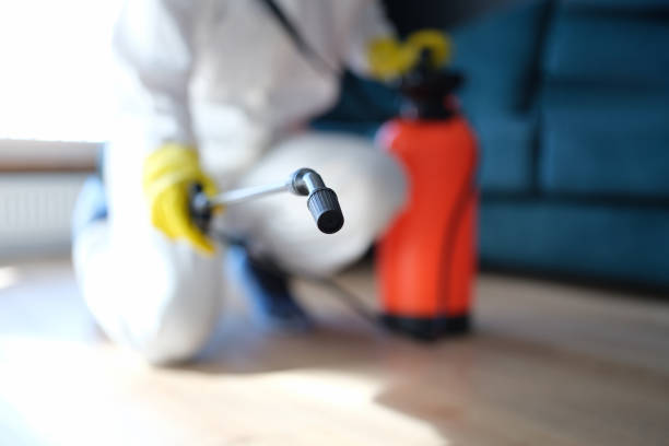 Best HVAC Mold Inspection and Cleaning  in Baltic, SD