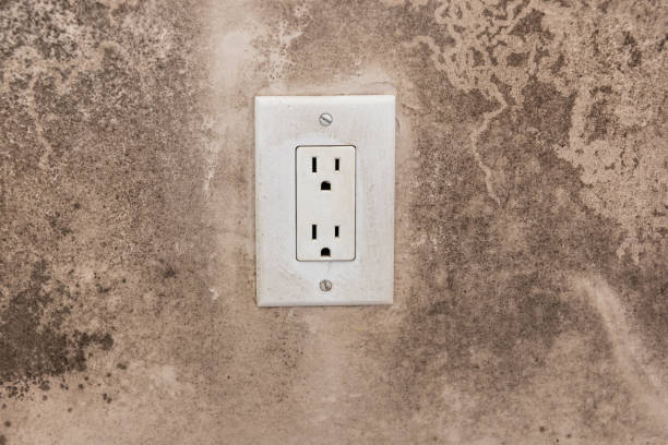 Best Residential Mold Inspection & Testing  in Baltic, SD