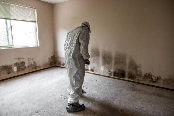 Best Forensic Mold Investigation  in Baltic, SD