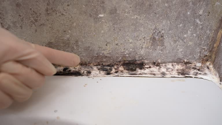 Best Residential Mold Inspection & Testing  in Baltic, SD